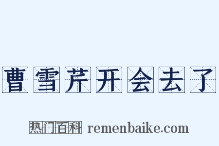曹雪芹开会去了是什么意思的图片